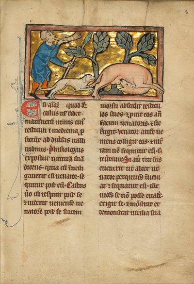 A Hunter Blowing His Horn While Attacking a Beaver by Unbekannt Unbekannt